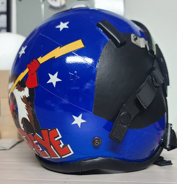 355th Wild Weasel