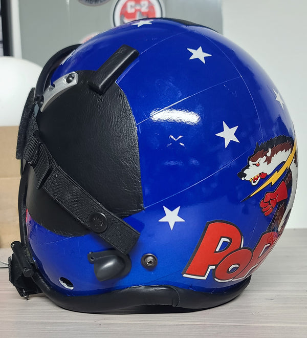355th Wild Weasel