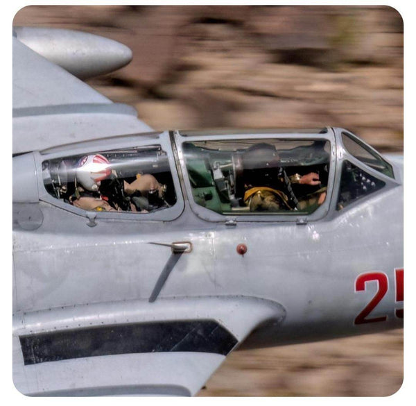 VF-111 Sundowners