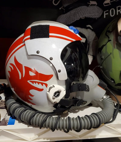 VF-1 Wolfpack